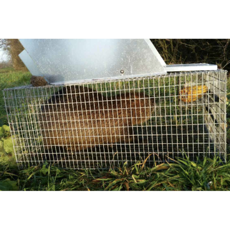 Lot de 3 Cages "Catiche"