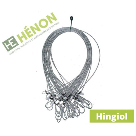 lacet hingiol piege renard
