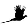 Niederwild