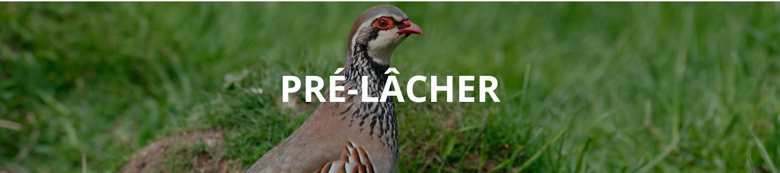 Cage de pré-lacher faisan & perdrix