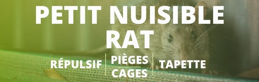 https://henon.shop/c/378-category_default/rats.jpg