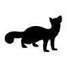 Stone Marten & Mustelid Traps