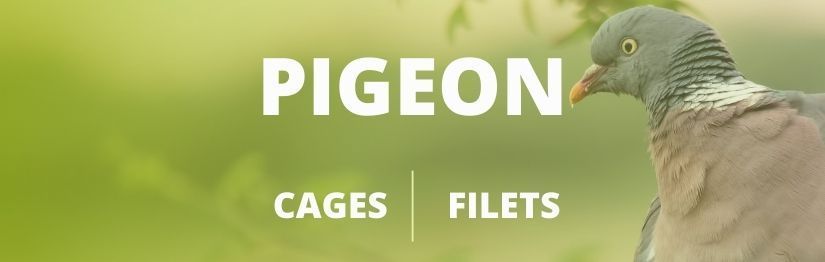 Piège à pigeon - Made in France