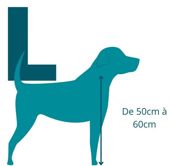 Caisse transport chien PVC TRAVEL Bleu - Taille L - OOGarden