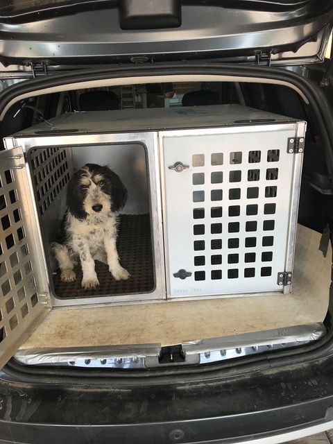 Cage de transport chien sur-mesure
