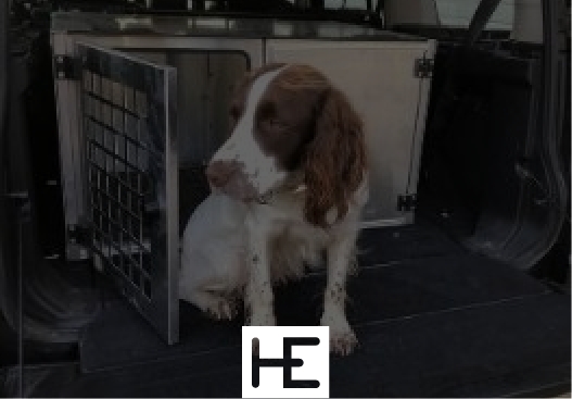  Caisse à chien 