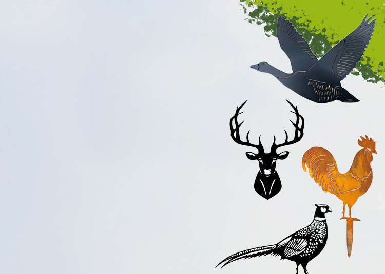 Offer Banner